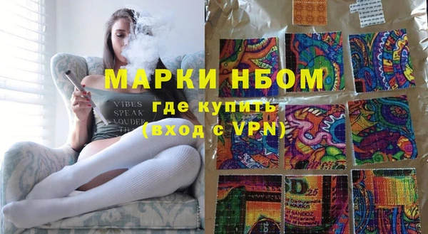 стаф Алзамай