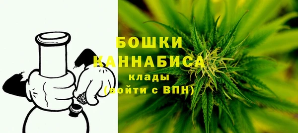 ГАЛЛЮЦИНОГЕННЫЕ ГРИБЫ Алексин