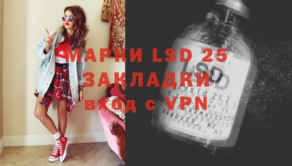 ГАЛЛЮЦИНОГЕННЫЕ ГРИБЫ Алексин