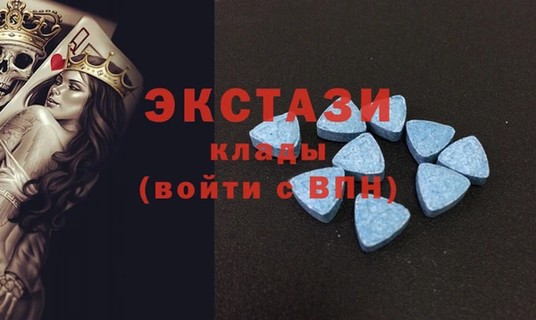 стаф Алзамай