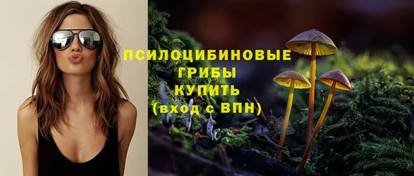 стаф Алзамай